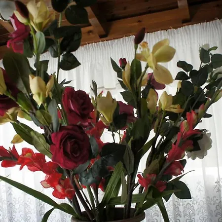 Stavros Amazing In The Centre Of Apartment Kos-Stadt