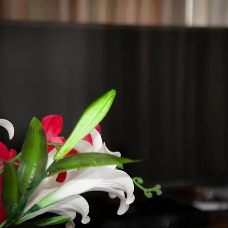 Apartment Stavros Amazing In The Centre Of Kos-Stadt