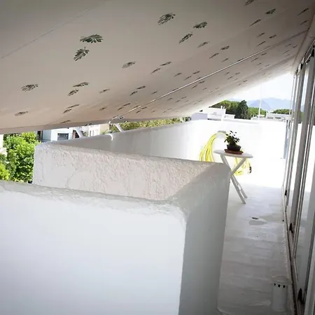 Stavros Amazing In The Centre Of *