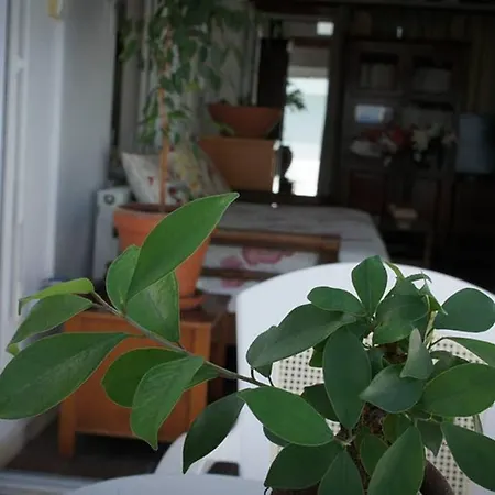 Stavros Amazing In The Centre Of Kos-Stadt