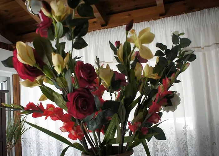 Stavros Amazing In The Centre Of דירה העיירה קוס