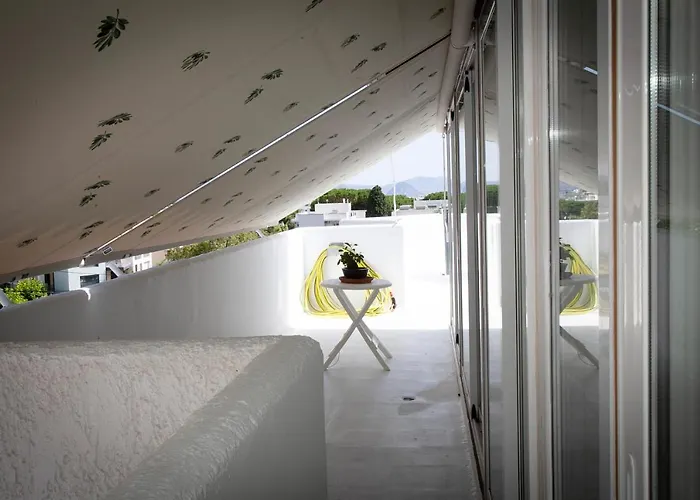 Stavros Amazing In The Centre Of