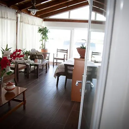 Stavros Amazing In The Centre Of