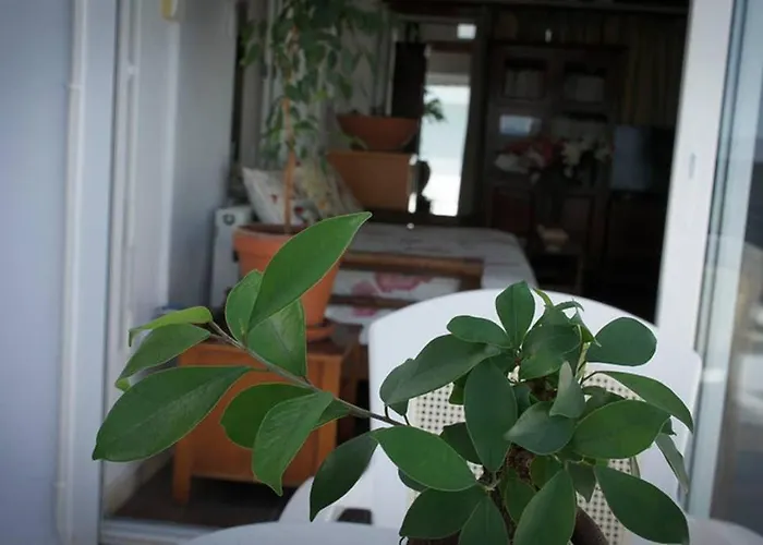 Stavros Amazing In The Centre Of بلدة كوس