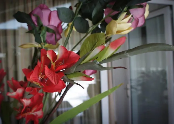 Stavros Amazing In The Centre Of * Cós