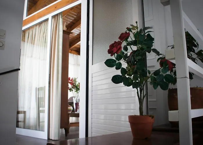 Stavros Amazing In The Centre Of