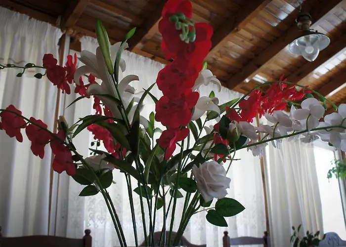 Stavros Amazing In The Centre Of شقة بلدة كوس